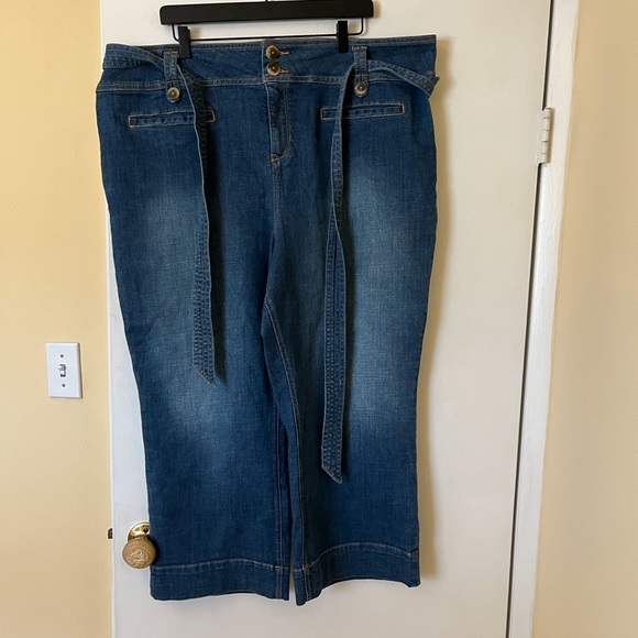 Pilcro and the Letterpress Denim - PILCRO AND THE LETTERPRESS jeans - size 24W - EUC